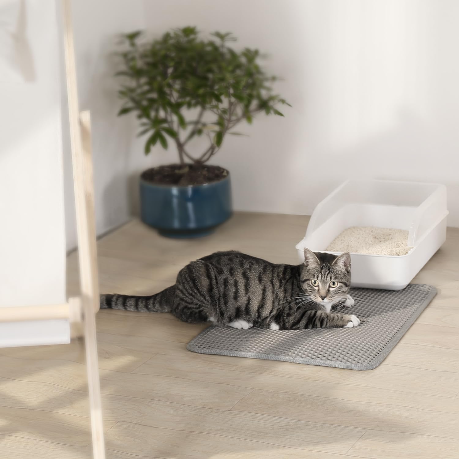 Tapis de litière double couche pour chat